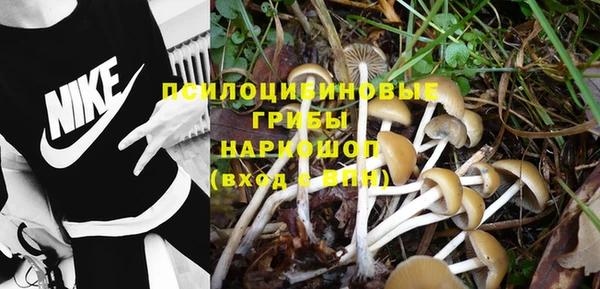 эйфоретик Балабаново