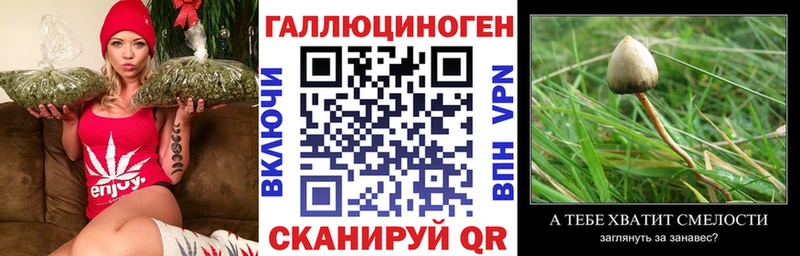 Галлюциногенные грибы Psilocybe  kraken зеркало  Старый Крым 